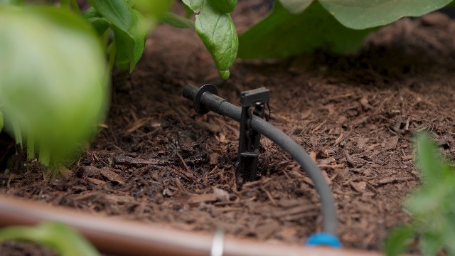 あんり Purple Brand 29 正規品 us drip Amazon.com : Rain Bird ET/1PK25S Drip Irrigation Emitter