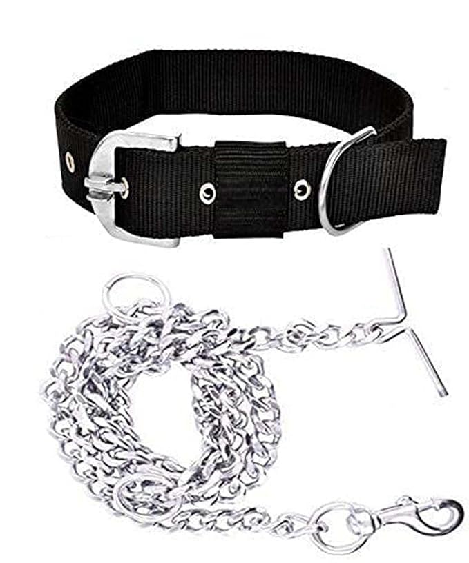 D&C PAWS Durable Combo of 1 inch Nylon Neck Collar Belt with Heavy Dog Chain 63 Inch Lengthy Dog Collar Chain Suitbale for Outdoor Walking and Training (Black) (B0CQQZ6D88) Amazon Price History, Amazon Price Tracker