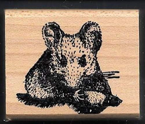 Rubber Stamps Squirrel Face Acorn Wildlife Animal Good Stamp Stamp Good Wood Craft Rubber for Teaching Card Making, DIY Crafts, Scrapbooking