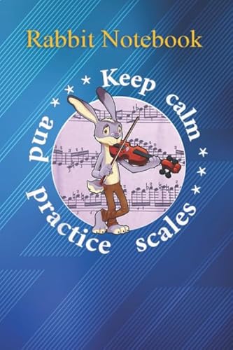 How to play the violin