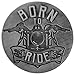 AngelStar Born to Ride Guardian Eagle Token, Antique Pewter