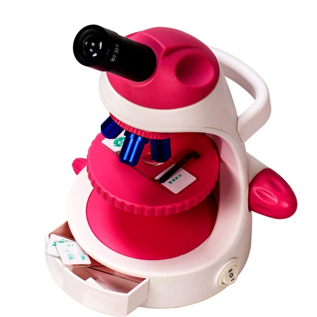 Microscopio, microscopio biológico monocular, microscopio 2000x (Argento como se Muestra)