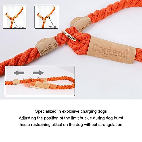 WUUISDNX Comoda corda da addestramento per