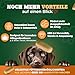 NATIVIVO K1 Relax Komplex Beruhigungsmittel für Hunde - Baldrian Hanföl & L Tryptophan Hund Beruhigung - Hunde Beruhigungsmittel unterstützend bei Angst & Stress - Beruhigung Hund - 60 Tabletten
