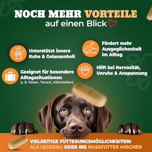 NATIVIVO K1 Relax Komplex Beruhigungsmittel für Hunde - Baldrian Hanföl & L Tryptophan Hund Beruhigung - Hunde Beruhigungsmittel unterstützend bei Angst & Stress - Beruhigung Hund - 60 Tabletten