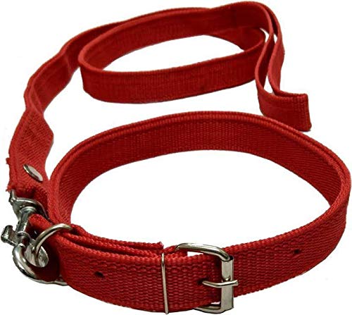 White Tree Soft Padded Nylon Leash DOG BELTS (B07JPCKBDB) Amazon Price History, Amazon Price Tracker