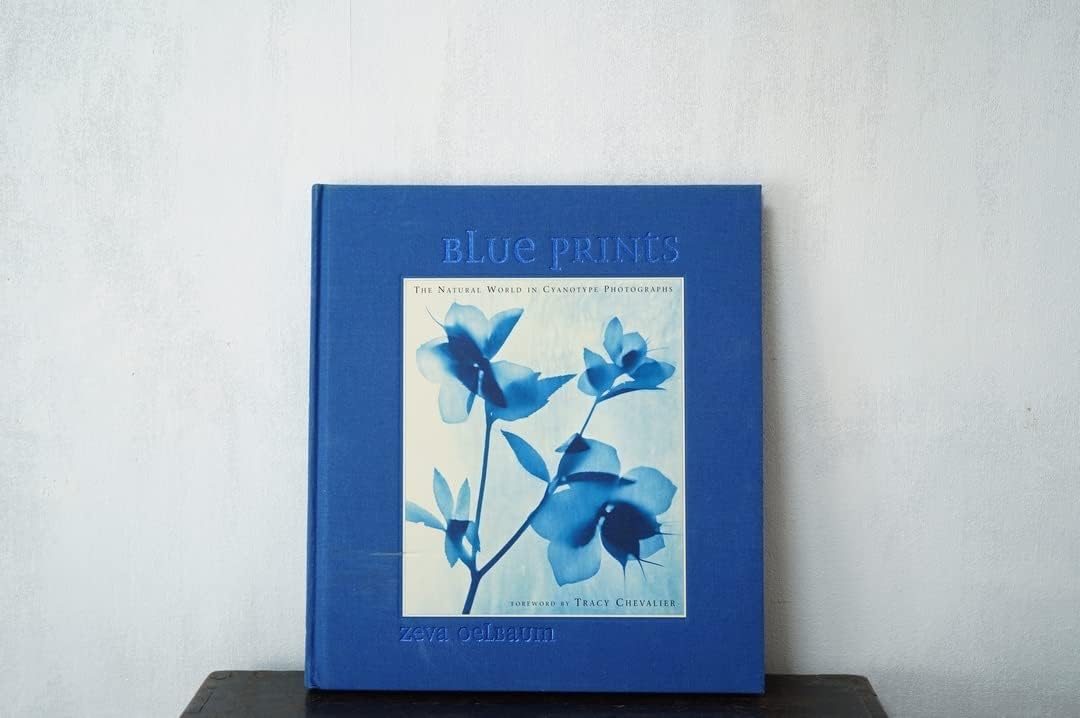 Amazon.co.jp 【写真集『BLUE PRINTS』・Zeva Oelbaum ゼヴァ・オェルバムサイアノタイプ 希少 絶版 古書