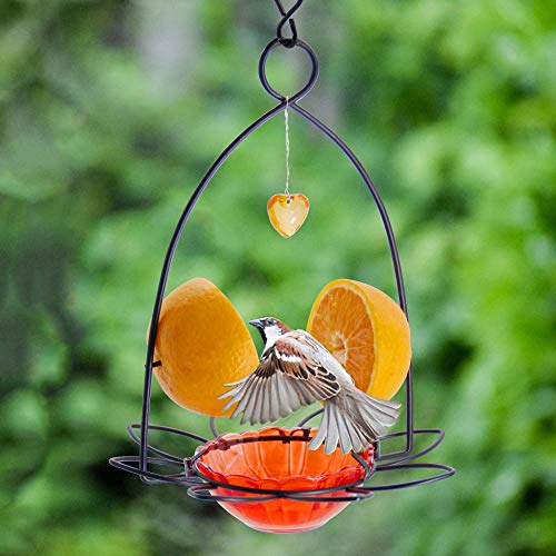 Forup LU-JME4-D9K3 Oriole Bird Feeder, Orange Fruit Oriole Feeder thumb #5