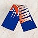 Northwest Florida Gators NCAA Rally - Rally Towel 18 x 15 Inches