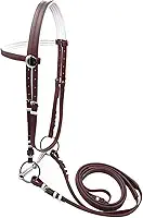 Rédea de Cavalo com Rédea, Acessórios para Montaria, Equipamento Equestre, Cabresto, Freio de aço Inoxidável para Curso de Adestramento