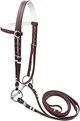 Rédea de Cavalo com Rédea, Acessórios para Montaria, Equipamento Equestre, Cabresto, Freio de aço Inoxidável para Curso de Adestramento