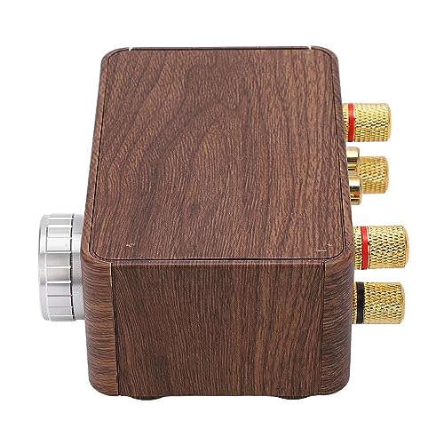 Amplificateur stéréo HIFI amp numérique 2 canaux mini 5.0 compact pour audio