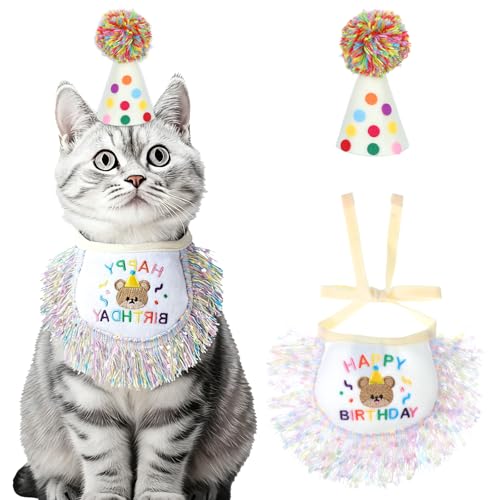 L a o_i XJ[t p[eB[ nbg L[g ^bZ ru XJ[t aXq L ap[eB[ fR[V Zbg ybg a fR[V ߑ 񂿂 L a bV 悾ꂩ L  ̑̃ybg