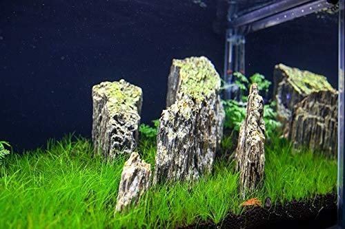 View 8