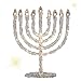 Rite Lite LED Twinkling Menorah Decoration | Hanukkah Gifts Jewish Holiday Party Favors Battery-Powered Lights Dance! Judaica Chanukah Festival of Lights 8.75