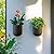 La Jolie Maison Wall Hanging Planters for Indoor Plants?Hanging Flower Pots for Air Plants Succulent, Set of 2, 6 Inch, Concrete Gray