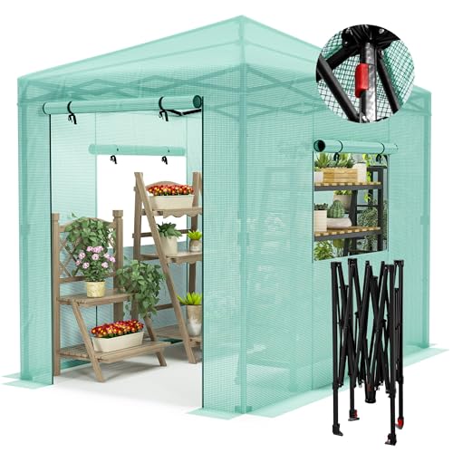 Devoko 8x6 Walk-in Greenhouse