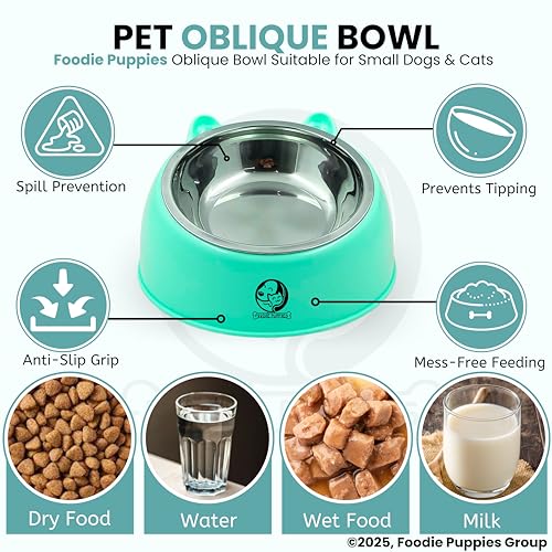 Image of Foodie Puppies Tilted Pet Feeding Bowl for Cats & Small Dogs - 350ml | Raised Oblique Design with Stainless Steel Inner Bowl, Ergonomic Food & Water Bowl | Comfortable Eating Position