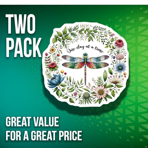 Set de 2 imanes decorativos libélula 5 pulgadas miniatura 4