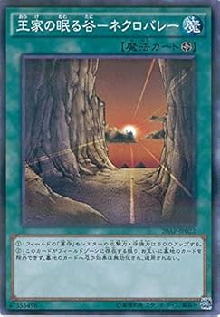 Amazon.co.jp: 遊戯王OCG 王家の眠る谷 ネクロバレー パラレル仕様 Amazon.co.jp: 遊戯王OCG 王家の眠る谷 ネクロバレー パラレル仕様