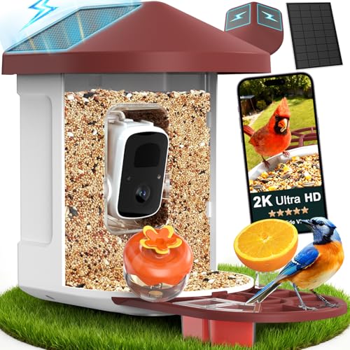 PeckCam® Bird Feeder with Camera with AI Identify 10000+ Birds