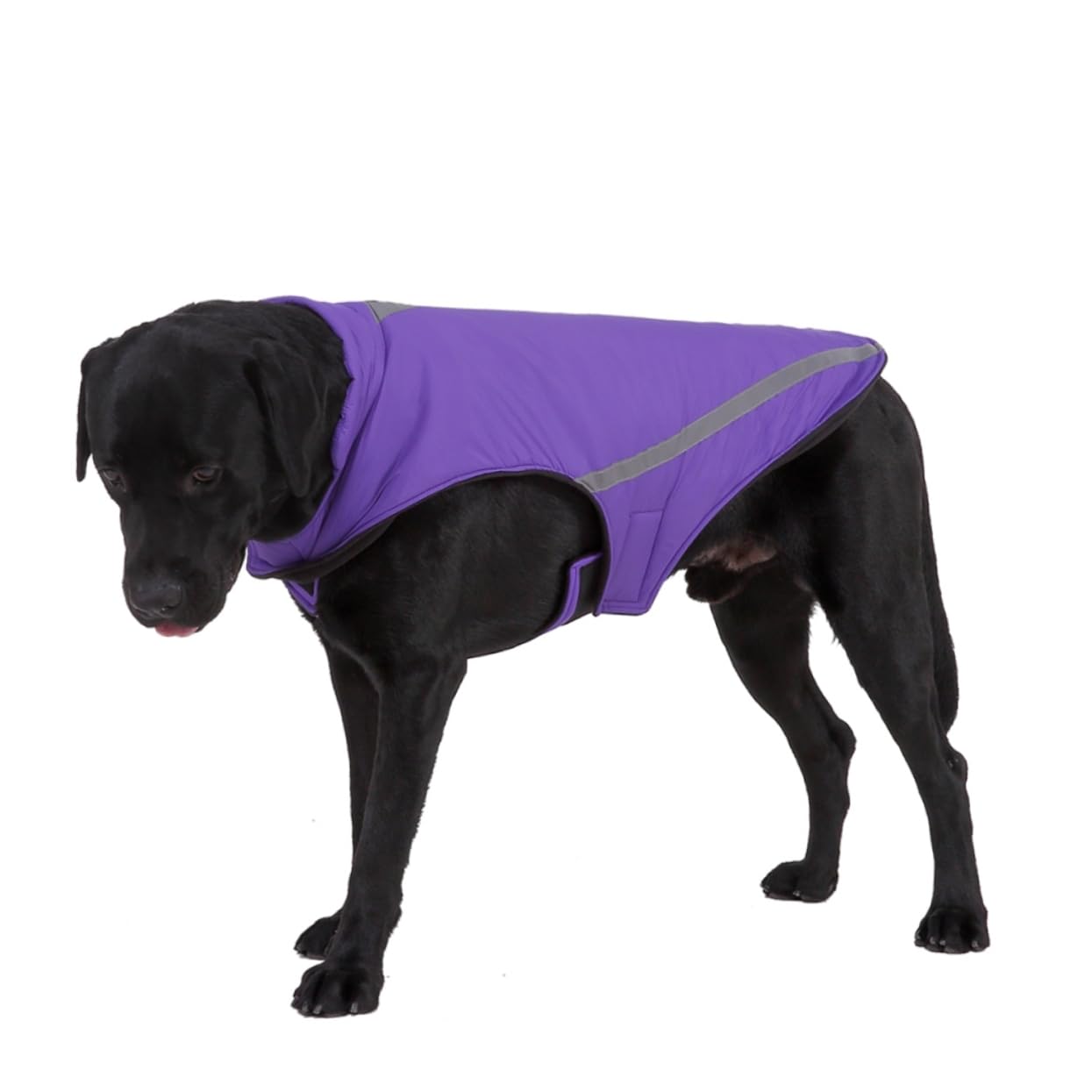 Manteaux de Pluie imperméables pour Chien, imperméable pour Chien, 2 pièces, Harnais d'hiver pour Chien, Gilet pour Animal de Compagnie, Gilet pour Chien Haute