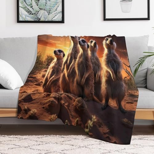 Couverture de salon en flannel douce Suricate pour vos soirées cocooning - 3