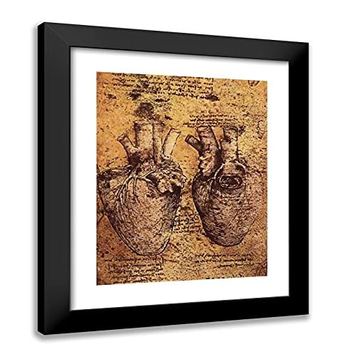 ArtDirect Da Vinci, Leonardo 20×23 Black Modern Framed Art Print Titled: Drawing of the Heart and its Blood Vessels, From the Anatomical Notebooks