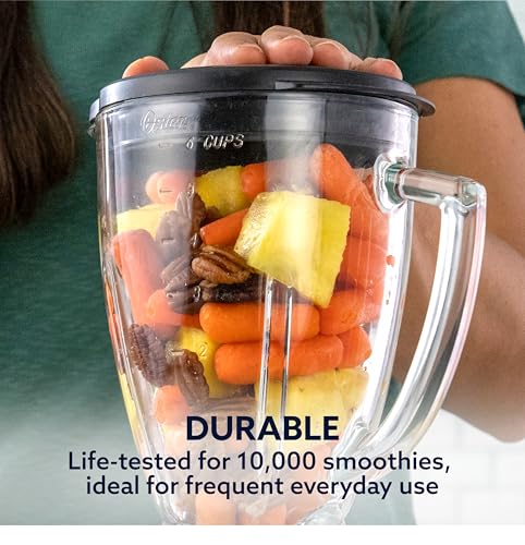 Oster Blender For Smoothies