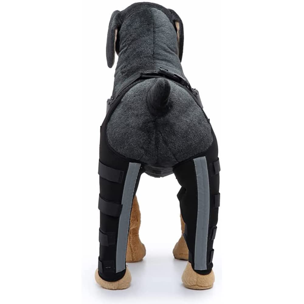 犬のリハビリテーション 楽天市場】【楽天ランキング1位受賞】犬 介護 ハーネス 後ろ足