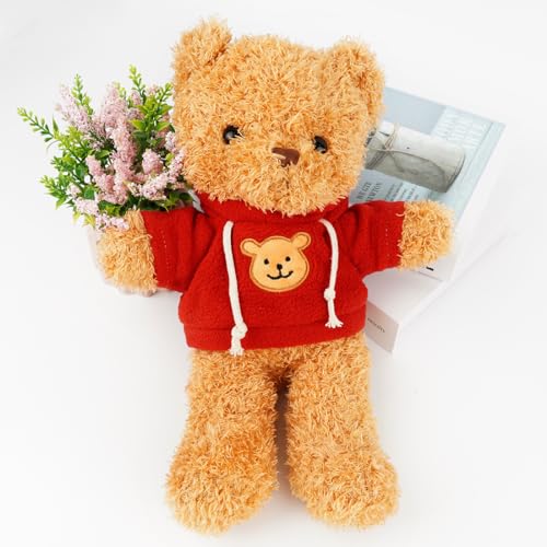 Kuscheltier Teddybär Plüschtier, kuscheltier bär mit Kapuze，Stofftier Schmusetier zum Kuscheln & Spielen, Plüschtier Teddybär Geschenk, Teddybär Plush Dekoration für Jungen und Mädchen (Rot 30cm)