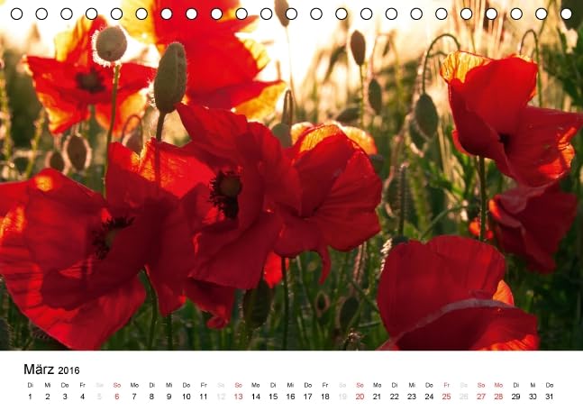 MohnZeit (Tischkalender 2016 DIN A5 quer): Landschaften voller Mohnblüten (Monatskalender, 14 Seiten ) (CALVENDO Natur)