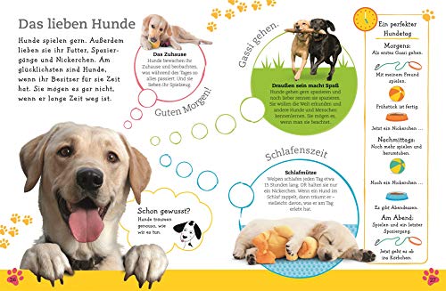 Alles über deinen Hund: So sorgst du für dein Lieblingstier. Mit Steckbriefen beliebter Hunderassen und Quiz (Mein Haustier)