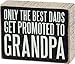 Primitives by Kathy Box Sign, Promoted to Grandpa, 5 by 4-Inch