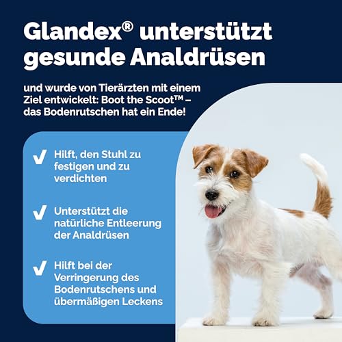 Vetnique Glandex für Hunde - 30 Kausnacks für die Analdrüsen Hund - Tierärzten der Analdrüsen und Einer gesunden Verdauung - Omega-3, Kürbiskern und Ballaststoffen - Analdrüsenkur für Hunde
