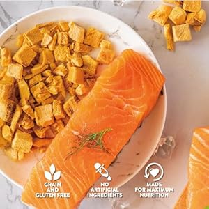 Mclovins salmon freeze dried treats 3×2 5oz 7 5oz excessive protein grain free canine coaching rewards all pure made in usa   cucciolini doodles