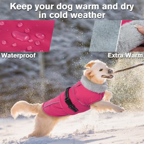 Image of Lelepet Dog Coat Reflective Waterproof Fleece Vest with Adjustable Buckle