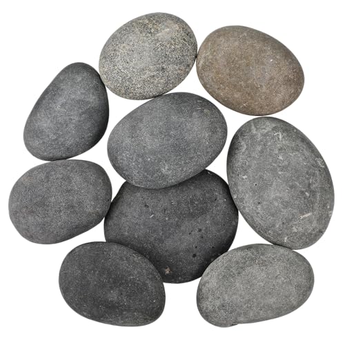 9 galets décoratifs en pierres plates naturelles de qualité supérieure