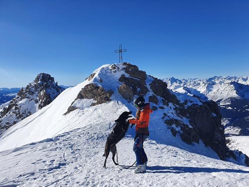 Aufbruch ins Freie: Meine wilden Bergabenteuer zu Fuß, mit Rad, Ski – und Hund