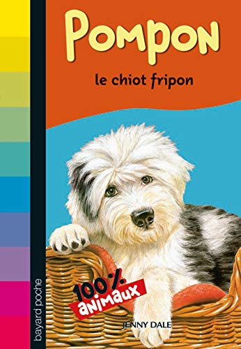 Pompon : Le chiot fripon