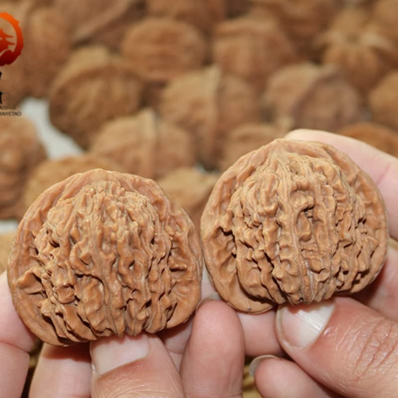 Naturalny Wenwan orzech lew głowa dłoni masaż zdrowie kula pszenicy ucho tygrys głowa kolekcja i zdrowie przedmioty 2 szt. 41 mm