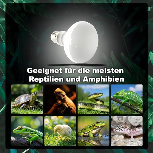 PetFizz Reptilien Wärmelampe Terrarium 75W 2Stück, Schildkröten Basking Spot Lampe Terrarium, E27 Tiere Heizlampe für Schildkröten, Bartagame, Schlange, Huhn, Hund