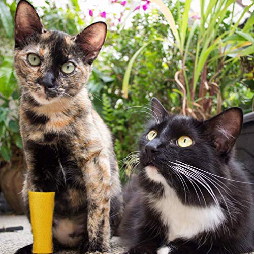 Balacoo 5 rollen zelfvasthoudend bandage elastische niet-geweven huisdier letsel wrap tape enkelverstuikingen zwelling… - Image 4