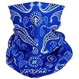 TZ Promise Tube Bandana Face Mask Scarf Paisley Print Head Neck Gaiter Motorcycle Bike Hiking (Royal Blue)