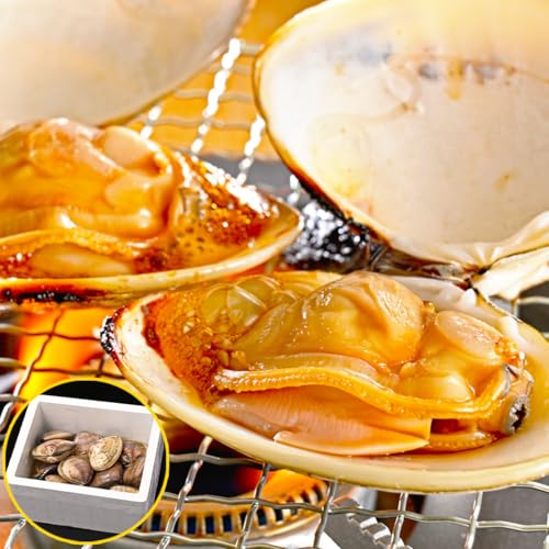 \㗢lY VR͂܂ TCY 2kgi20Ojt ς Y tY  n}O 傫 ͂܂ L o[xL[ BBQ CN   z  ԏĂ  Mtg v[g   Ε 