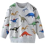 AIWUHE Toddler Boys Girls Sweatshirt Long Sleeve Pullover Crewneck Tops Shirts Sweater Cotton Thin Dinosaur Cartoon T-Shirts Gray Dinosaur 3T 9010