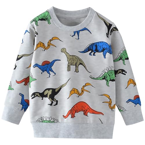 Image of AIWUHE Toddler Cotton Sweatshirt Boys Girls Pullover Long Sleeve Tops 2-6Y