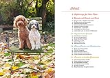 Ich koche für uns!: 25 Lieblingsrezepte für meinen Hund und mich