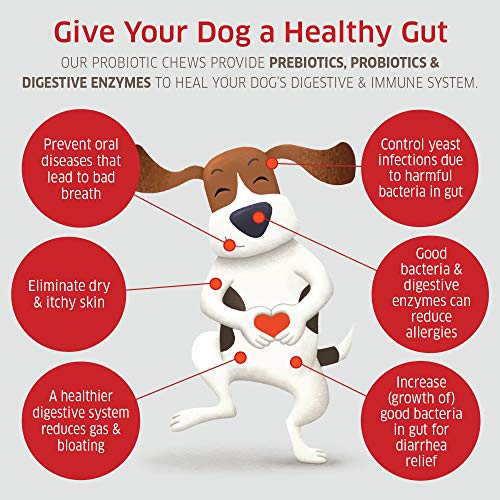 Probiotics For Dogs - Hot Spot Remedy For Dogs + Prebiotic - Dog Allergy Chews - Improve Digestion & Upset Tummy, Relieve Gas & Diarrhea, Dog Probiotics And Digestive Enzymes, 120 Dog Probiotic Chews #TOP2