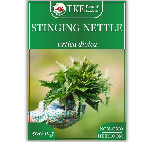 TKE Farms & Gardens - Stinging Nettle Seeds for Planting - 2000 Non-GMO Heirloom Seeds (500 mg) - Urtica dioica - Includes Growing Instructions - Easy to Grow Perennial Herb